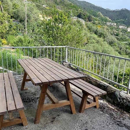 La Casa Di Rosetta Villa Levanto Exteriör bild