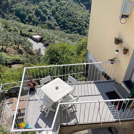 La Casa Di Rosetta Villa Levanto Exteriör bild